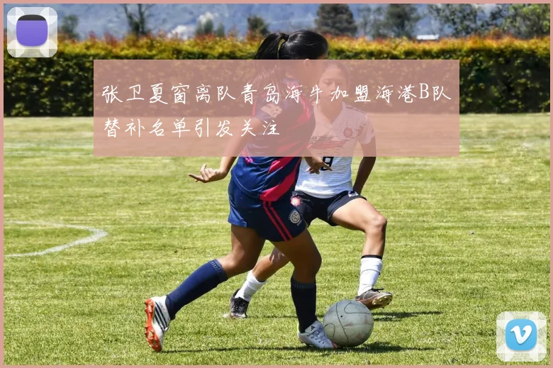 张卫夏窗离队青岛海牛加盟海港B队替补名单引发关注
